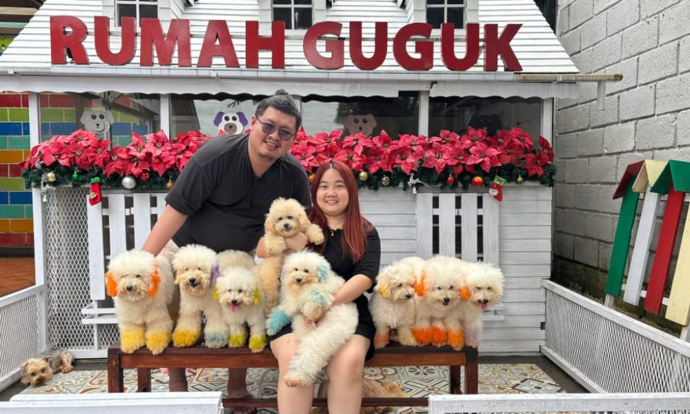 Liburan di Bandung bersama ZeaTour ke Rumah Guguk